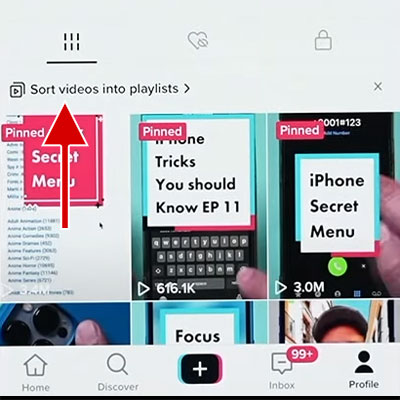 tap on the Sort videos into playlists option