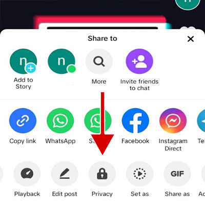 Tap on Privacy option