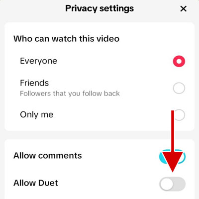 Turn the Allow Duet option off