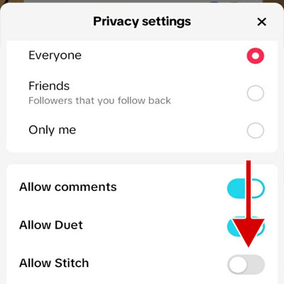 Turn the Allow Stitch option off