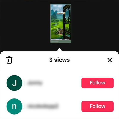 story views