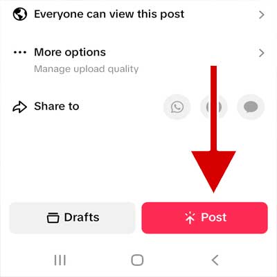 Tap on the "Post" button