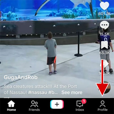 On the TikTok application, tap on the Profile