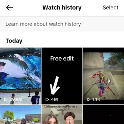 TikTok watch history