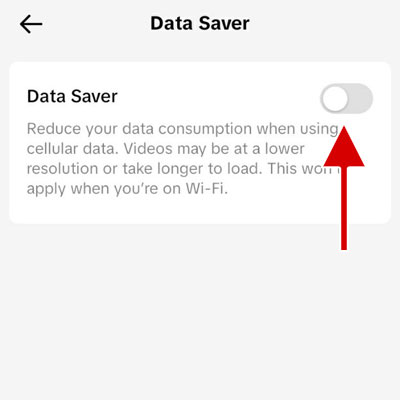 Toggle the Data Saver option from grey to blue