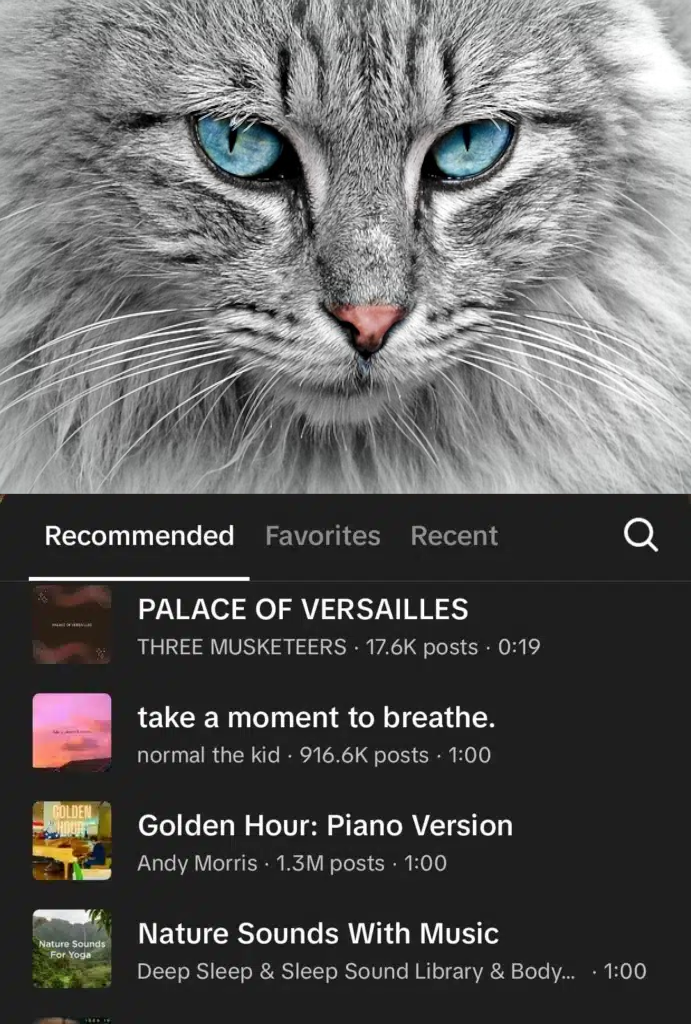 TikTok Sound Library